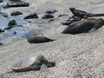 Galapagos (Mar 2009) - Day 09 - 256
